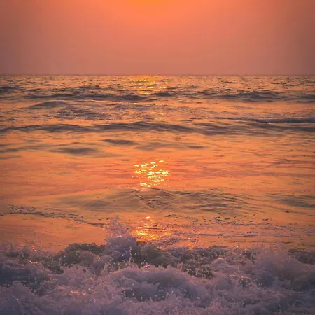 Zielona 16 * 미에드지보드지