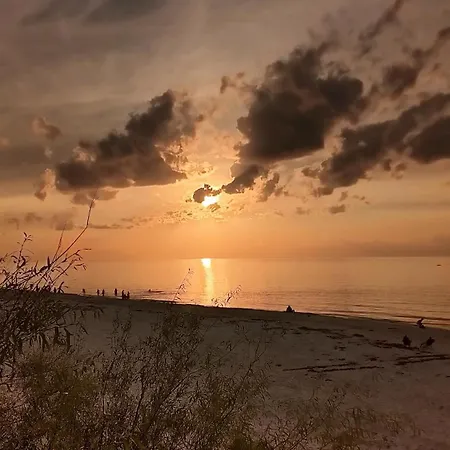 Zielona 16 아파트 *